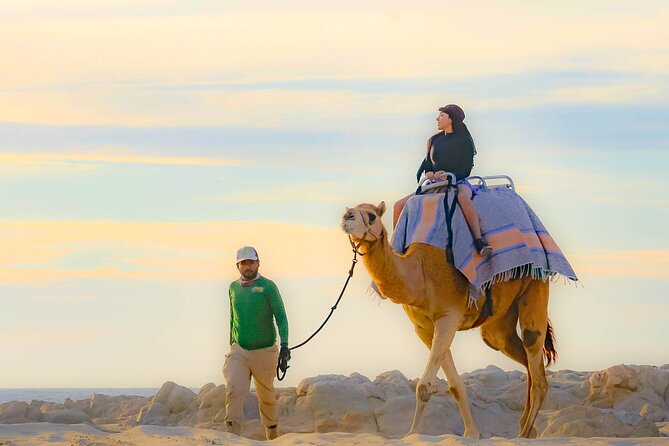 Sky Bike Free Camel Ride and Horseback Riding - Sky Bikes at Migriño: the high-altitude circuit and the one rule that matters