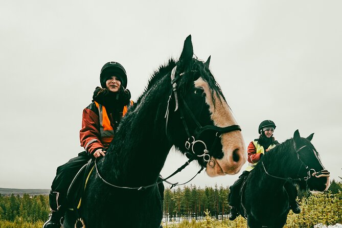 Small-Group Arctic Circle Horse Riding from Rovaniemi - The Ride Itself: Forest Paths, Lapland Weather, and Real Pace