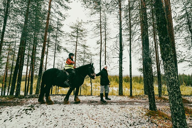 Small-Group Arctic Circle Horse Riding from Rovaniemi - Guides, Hot Drinks, and Lapland Stories That Make It Stick