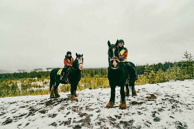 Small-Group Arctic Circle Horse Riding from Rovaniemi - Duration and What 3 Hours Really Means for Your Schedule