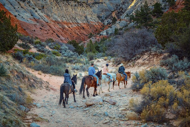Small-Group East Zion White Mountain Horseback Ride - Logistics That Matter: Meeting Point, Language, and the 220-Lb Rule