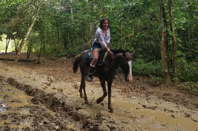Small-Group Half-Day Horseback Riding Tour from Punta Cana - What to bring, what to plan for, and what you can skip