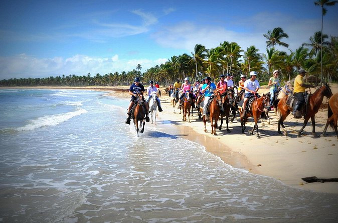 Small-Group Half-Day Horseback Riding Tour from Punta Cana - Price and value: is $70 a fair deal for this tour?