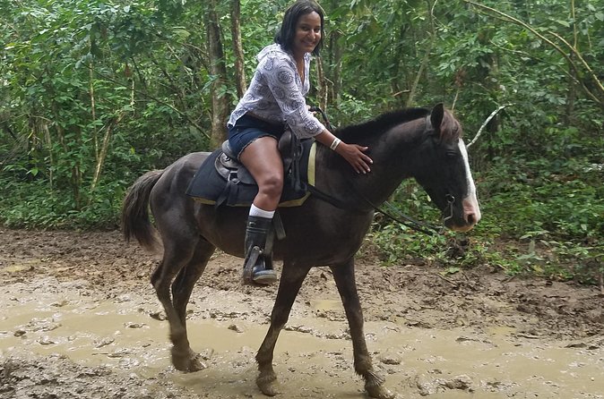 Small-Group Half-Day Horseback Riding Tour from Punta Cana - Who should book this horseback ride from Punta Cana, and who should reconsider?
