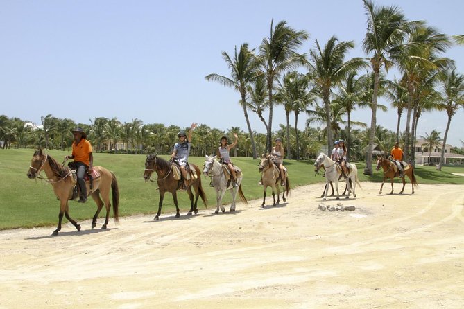 Small-Group Half-Day Horseback Riding Tour from Punta Cana - Safety briefing and horse handling: what you’re actually paying for
