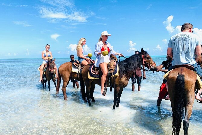 Small Group Horseback Riding Adventure in Caicos Islands - Why a beach horseback ride feels special here