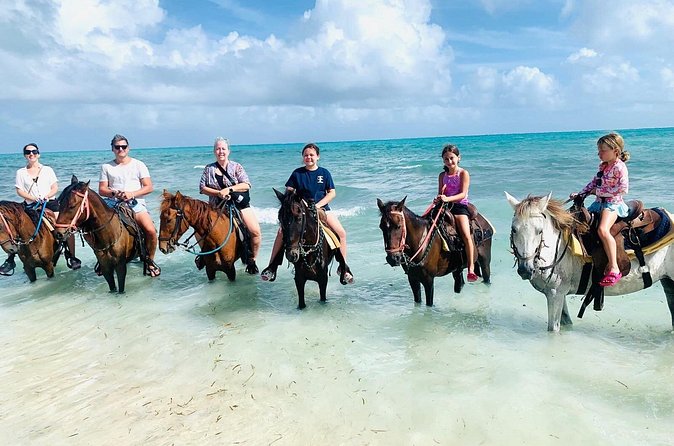Small Group Horseback Riding Adventure in Caicos Islands - Who this fits best (and who should think twice)