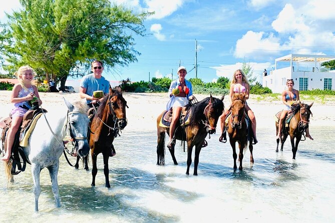 Small Group Horseback Riding Adventure in Caicos Islands - The 1-hour flow: pickup, briefing, beach trot, back again