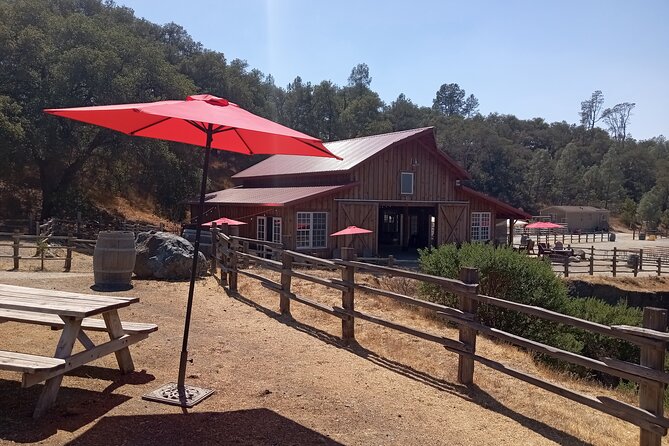 Sonoma Horseback-Riding Tour - Price and value: is $129 worth your time?