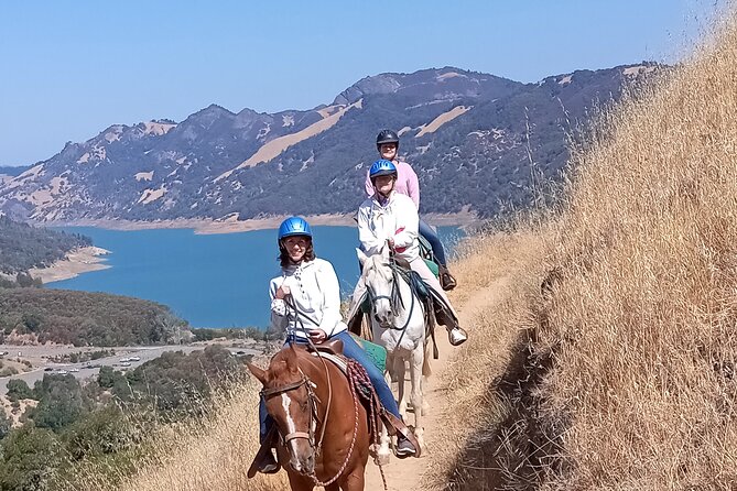 Sonoma Horseback-Riding Tour - Who should book this Sonoma horseback tour?