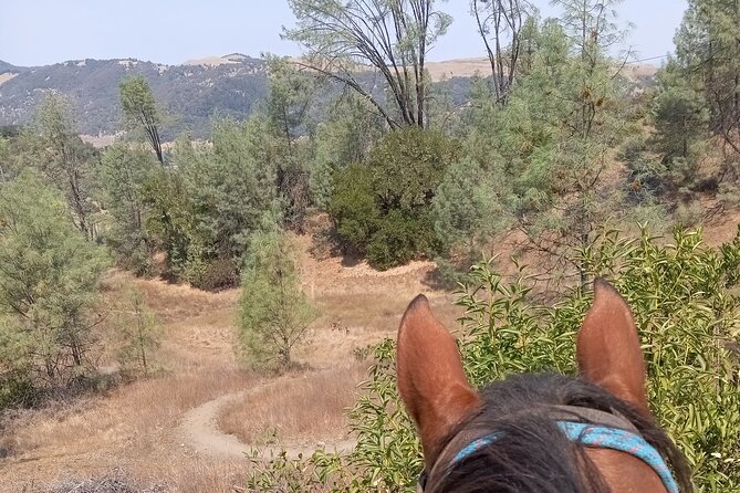 Sonoma Horseback-Riding Tour - The itinerary: Lake Sonoma to Geyserville overlooks and St. Helena