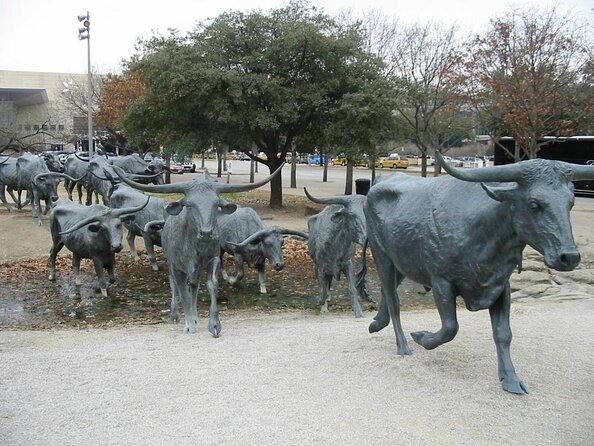 Southfork Ranch and Dallas/JFK Highlights Tour - Key things to know before you go