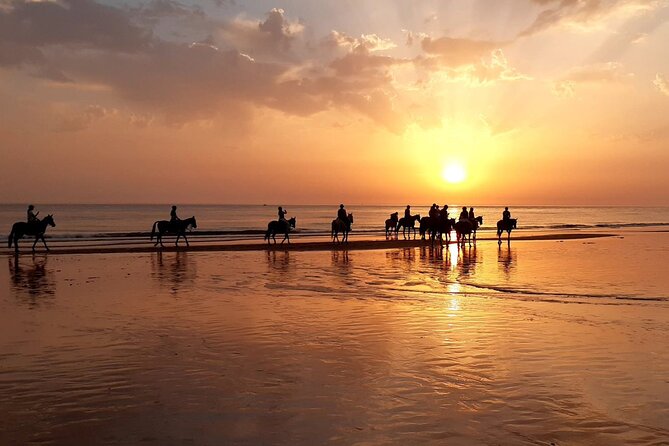 Stunning Sundown Beach Ride on horseback! MINIMUM 2 PARTICIPANTS - Key things to know before you go