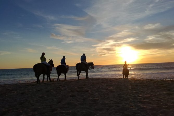Stunning Sundown Beach Ride on horseback! MINIMUM 2 PARTICIPANTS - English, helmets, and group rules that keep it smooth
