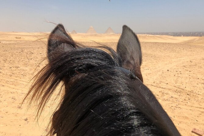 Sunrise Horseback Ride Around the Pyramid of Giza - Refreshments and what’s included (so you don’t add up costs later)