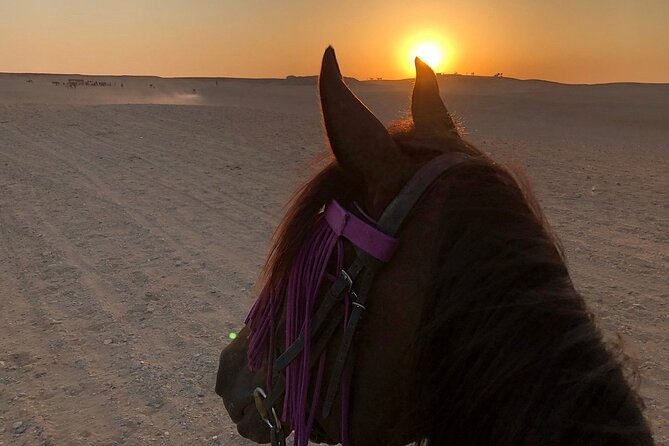 Sunrise Horseback Ride Around the Pyramid of Giza - What about safety and comfort on horseback?