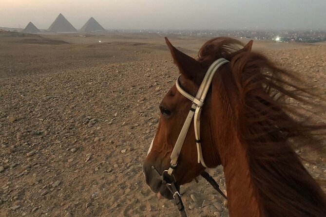 Sunrise Horseback Ride Around the Pyramid of Giza - Getting the most out of the early morning timing