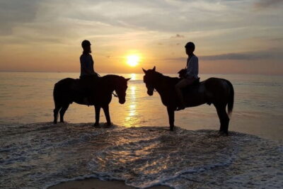 Sunset Beach Horseback Ride Phuket - Finding COLTS Horse Riding Phuket (and what to do before you mount)