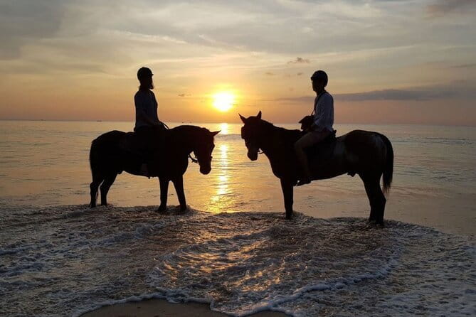 Sunset Beach Horseback Ride Phuket - Finding COLTS Horse Riding Phuket (and what to do before you mount)