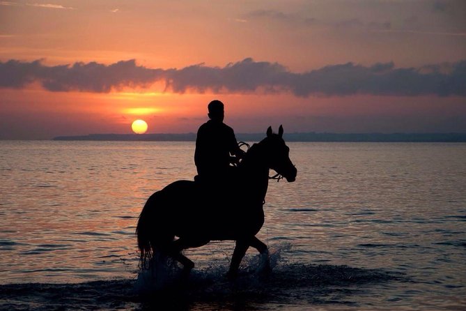 Sunset Beach Horseback Riding - Key Points Worth Booking This for