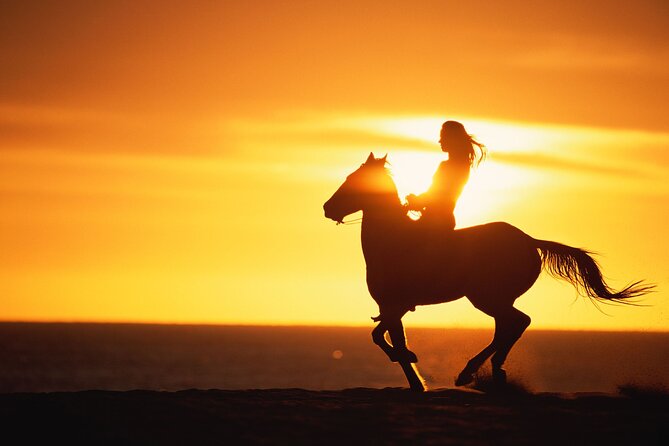 Sunset Beach Horseback Riding - The Horse Swim Option: When It Works, It’s Wildly Fun