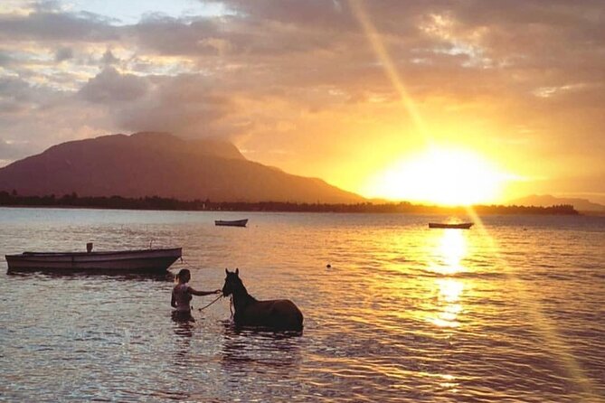 Sunset Beach Horseback Riding - Guides and Horses: What Really Matters in a Horse Tour