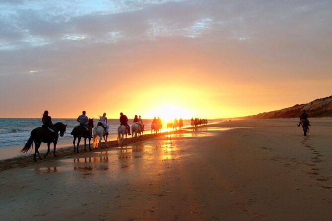 Sunset Beach Horseback Riding - Who This Tour Is Best For (And Who Might Skip It)