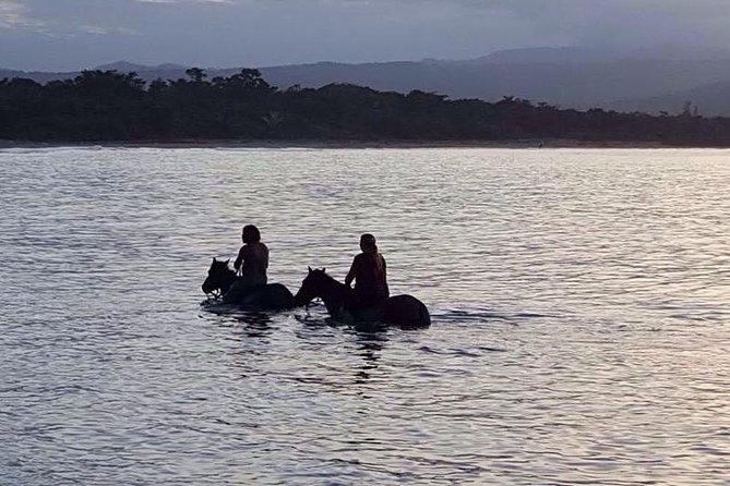 Sunset Beach Horseback Riding - The Ride Out: Gravel Path, Jungle Air, Then Surf at Your Feet