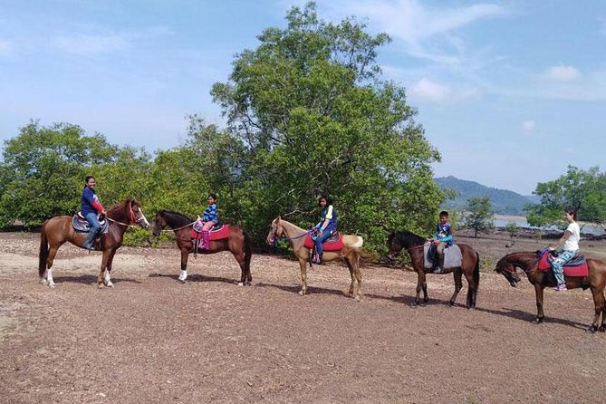 Sunset Horse Riding Tour at Ao Nam Mao Beach Krabi - Price and value: what $68.96 includes (and what costs extra)