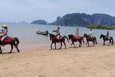 Sunset Horse Riding Tour at Ao Nam Mao Beach Krabi - Getting to the horse farm: pickup, meeting point, and pacing