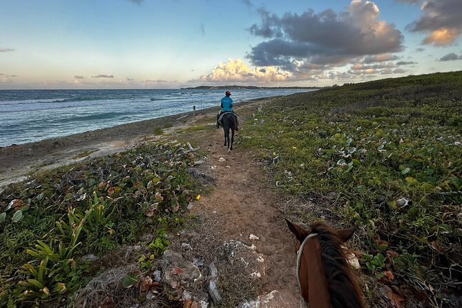 Sunset Horseback Ride at Macao Beach & Forest with Transfers - Stop 3: World Mart Souvenirs With a Coffee and Mama Juana Bonus