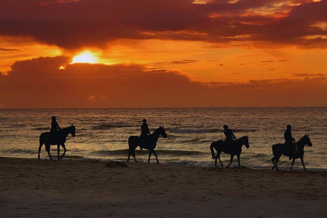 Sunset Horseback Ride by the Beach in Aguadilla, Puerto Rico - Key things I’d plan for before your Hacienda Carey ride