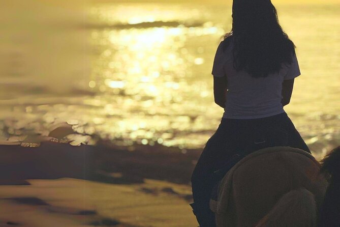 Sunset Horseback Ride by the Beach in Aguadilla, Puerto Rico - What the ride experience is actually like on horseback