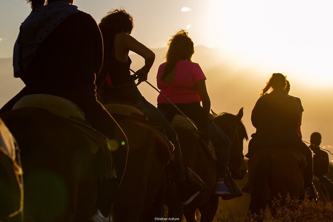 Sunset Horseback Riding - Golden Hour in Lunlunta: What the 5:30 pm Ride Really Delivers