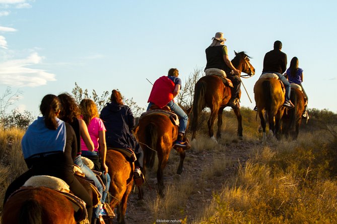Sunset Horseback Riding - Price and Value: Why This $106 Tour Usually Feels Fair