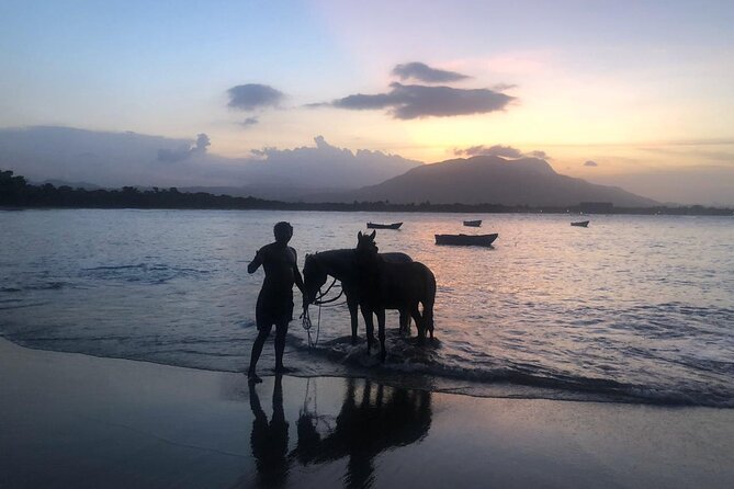 Sunset Horseback Riding in Puerto Plata - The sunset ride itself: soft sand, sea air, and a possible ocean swim