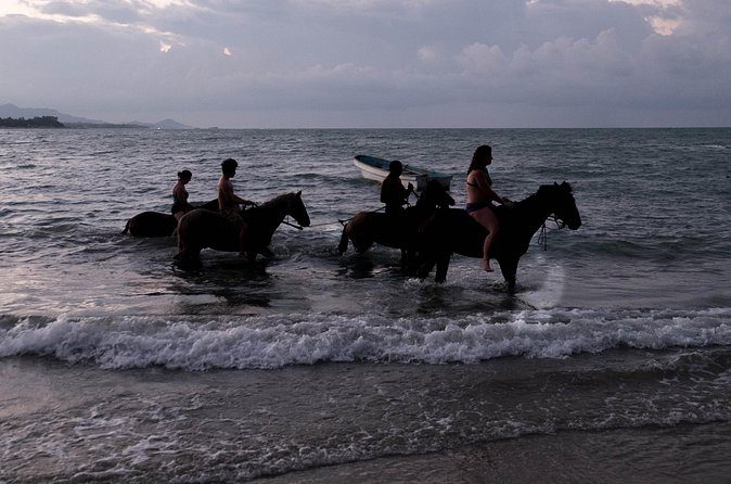Sunset Horseback Riding in Puerto Plata - What the guide’s care says about the horses