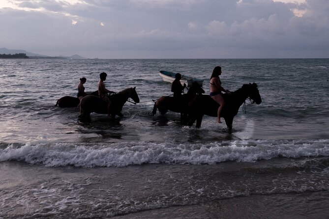 Sunset Horseback Riding in Puerto Plata - Price and value: what $69 buys you in real terms