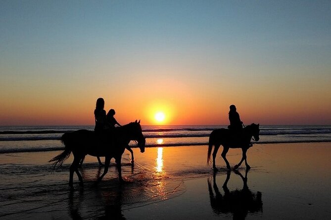 Sunset Horseback Riding in Puerto Plata - Pickup, meeting point, and the simple logistics that keep it smooth