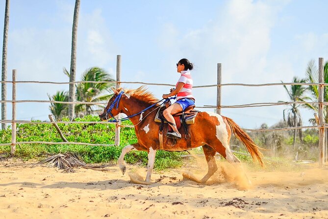 Sunset Horseback Riding Tour in Punta Cana (Private Option) - The trail to Boca de Maimón: tropical shade and the river-to-sea spectacle