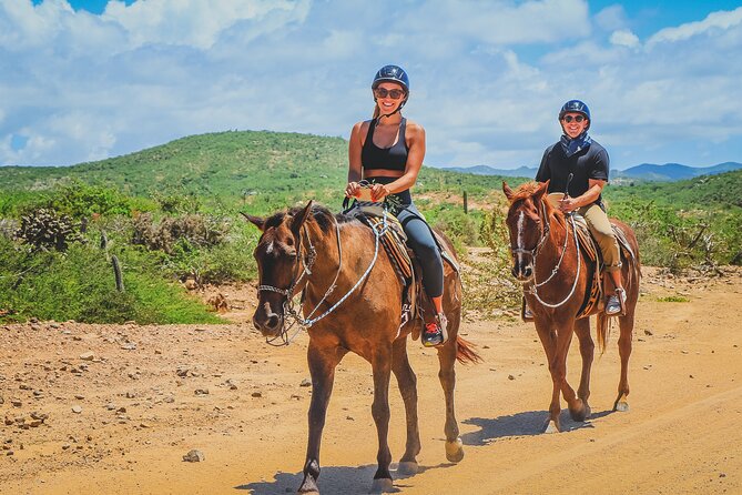 Tacos and Horseback Riding at Migriño beach - Whale Season From the Sand: When Migriño Becomes a Wildlife Moment