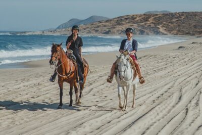 Tacos and Horseback Riding at Migriño beach - The Horseback Ride: Coastline Views Plus Desert-to-Beach Trail Time