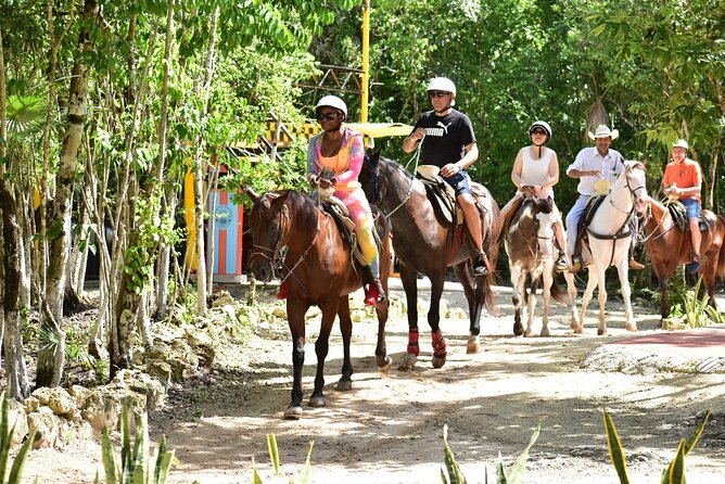 Tequila Tasting, Horseback Riding,ATV, Ziplines Cenote and Lunch - Inside the Cenote: Cold Water, Jump Platforms, and Zip Elements