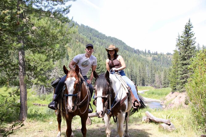 Teton View Horse Riding with Lunch - Bryan’s Flat Logging Road Return (A Different Kind of History)