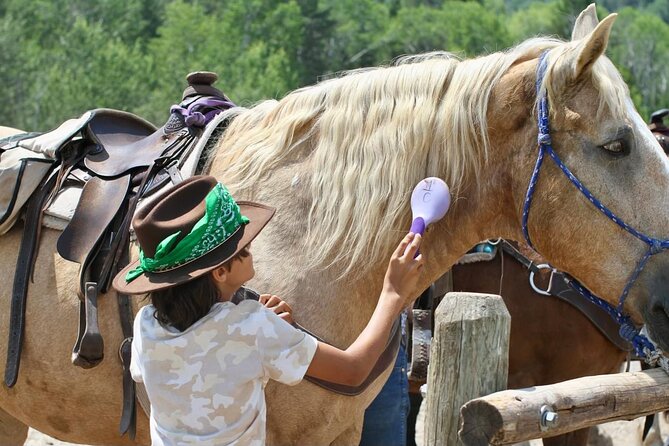 Teton View Horse Riding with Lunch - Wildlife Encounters You Can Actually Plan For