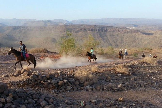 The Best Horse Riding Experience in Gran Canaria (1 hour) - The famous sand dunes stop: photos, wind, and real scenery
