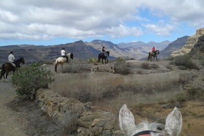 The Best Horse Riding Experience in Gran Canaria (1 hour) - The Maspalomas overlook: the part you’ll feel in your bones