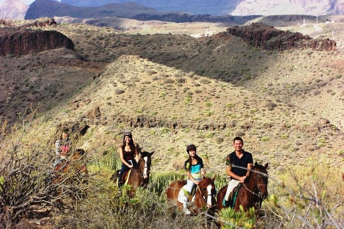 The Best Horse Riding Experience in Gran Canaria (1 hour) - Horses, care, and what to check before you mount