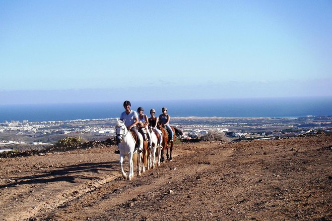 The Best Horse Riding Experience in Gran Canaria (2 hours) - Getting Oriented at El Salobre Horse Riding in Gran Canaria