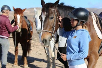The Best Horse Riding Experience in Gran Canaria (2 hours) - Horses, Care, and What the Briefing Might Cover